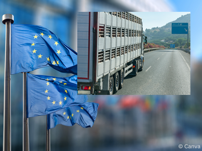 Die EU-Kommission hat eine Reform der EU-Vorschriften beim Tiertransport vorgeschlagen. Der Bundesrat sieht noch Nachbesserungsbedarf. ©Canva