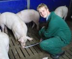 Tierschutz nach Zollstock?