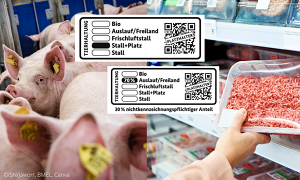 Laut Bundesregierung obliegt der Vollzug und die Umsetzung des Tierhaltungskennzeichengesetzes den Behörden auf Länderebene. ©ISN/Jaworr, BMEL, Canva