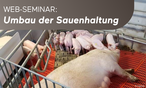 Isw Isn Web Seminar Sauenhaltung