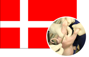 Dänemark macht Tempo bei der Kastration von Ferkeln unter Lokalanästhesie