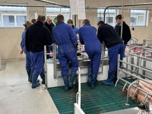 Bereichernder Austausch: Die Teilnehmer konnten konkrete und praxisnahe Impulse für die Weiterentwicklung der eigenen Betriebe mitzunehmen ©ISN