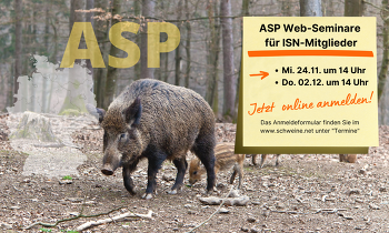 Jetzt online anmelden zum ISN Web-Seminar "ASP" ©Canva, ISN