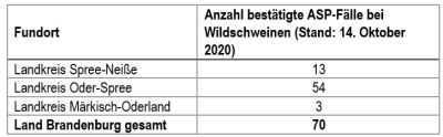 ASP-Fälle in Brandenburg - Stand 16.10.20 (MSGIV)