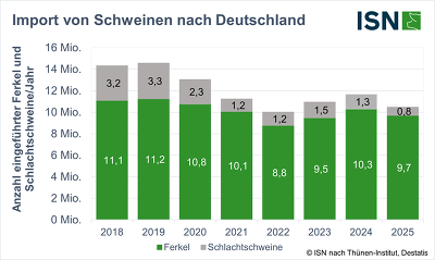 Die Schlachtschweineimporte lagen 2025 unter dem Niveau der letzten Jahre ©ISN