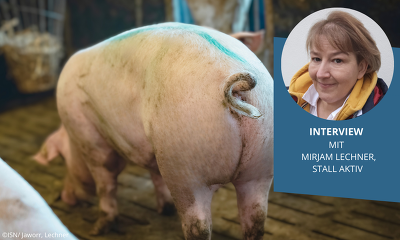 Header Interview M Lechner