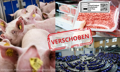 Das THKG soll noch einmal verschoben werden - neuer Starttermin soll der 01.01.2027 sein ©ISN/Jaworr, BMLEH, Deutscher Bundestag/Marco Urban, Canva