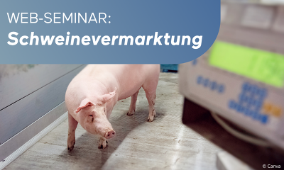 Isw Isn Web Seminar Sauenhaltung (1)