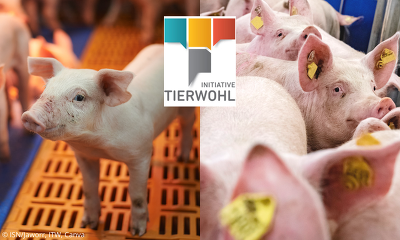 Header Itw 2026 Ferkelerzeuger Mäster