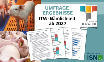 Header Umfrageergebnisse ITW Nämlichkeit ISN