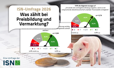 Header Vermarktungsumfrage 2026 ISN Ergebnisse