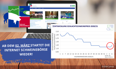 Endlich steigt in dieser Woche der Schweinepreis wieder deutlich an an