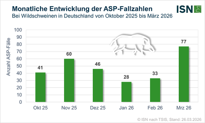Die monatliche Entwicklung der ASP-Fallzahlen zeigt seit März wieder einen Anstieg (© ISN nach TSIS/ Stand: 26.03.2026)