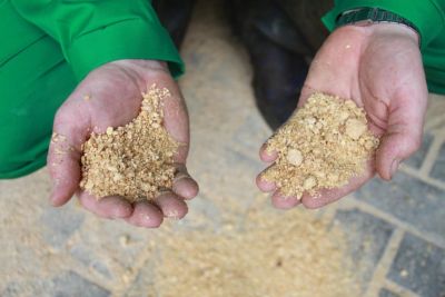 Nur rund 12 % des Rohproteins in der Tierernährung stammen aus Importen wie Soja - 88 % werden durch heimische Futtermittel gedeckt. © ISN