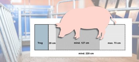 Vorgaben für den Kastenstand: Im geschlossenen Zustand muss dieser eine Länge von mindestens 220 cm aufweisen ©ISN