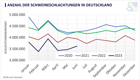 Deutlicher Abwärtstrend: Die hiesige Fleischerzeugung lag im ersten Halbjahr 2023 9,4 % unter dem Niveau des Vorjahres (© ISN, Canva)