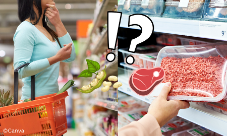 Pflanzlich oder tierisch? Das EU-Parlament will irreführende Bezeichnungen von Fleischersatzprodukten verbieten ©Canva