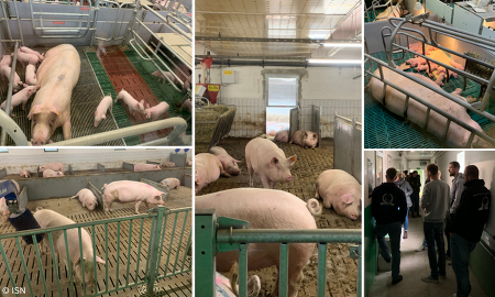 JISNMV Haus Düsse 2