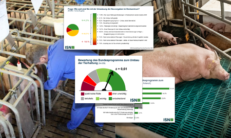 244 Ferkelerzeuger haben im November und Dezember 2025 an einer Spezialabfrage der ISN zur Sauenhaltung teilgenommen ©ISN/Jaworr, Canva