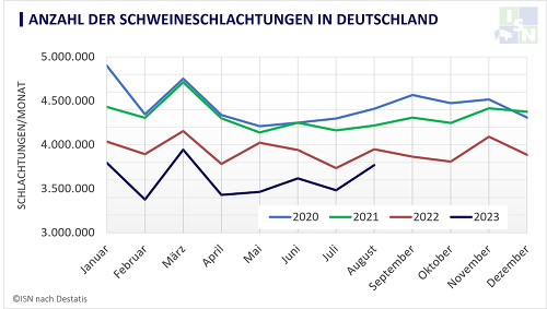 Die Schlachtzahlen spiegeln den anhaltenden Abbau der deutschen Schweinebestände wider - Von Januar bis August 2023 kamen in Deutschland 8,4 % weniger Schlachtschweine als im Vorjahr an die Haken ©Destatis